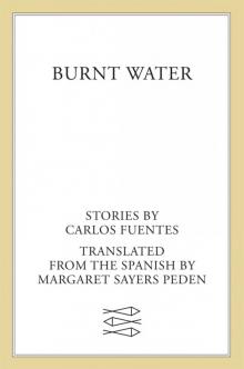      Burnt Water