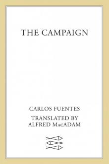      The Campaign
