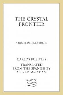      The Crystal Frontier