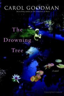      The Drowning Tree
