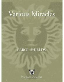      Various Miracles