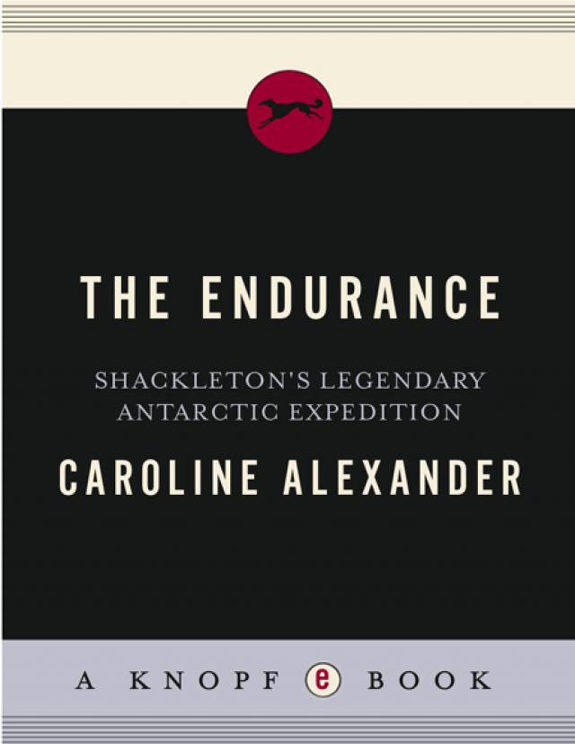 arve vask Grine Read The Endurance: Shackleton's Legendary Antarctic Expedition Online Read  Free Novel - Read Light Novel,onlinereadfreenovel.com