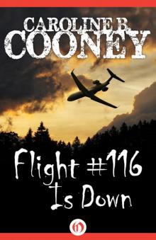      Flight #116 Is Down