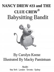      Babysitting Bandit