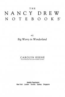      Big Worry in Wonderland