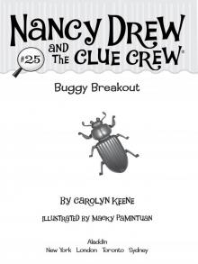     Buggy Breakout