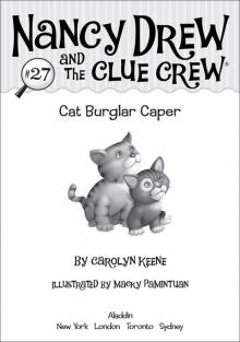      Cat Burglar Caper