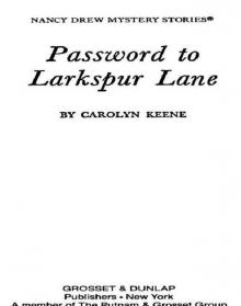      Password to Larkspur Lane