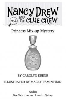      Princess Mix-Up Mystery