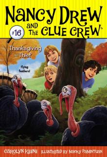      Thanksgiving Thief