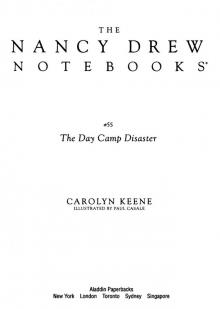      The Day Camp Disaster