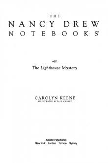      The Lighthouse Mystery