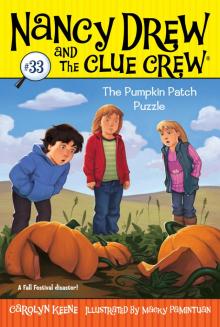      The Pumpkin Patch Puzzle