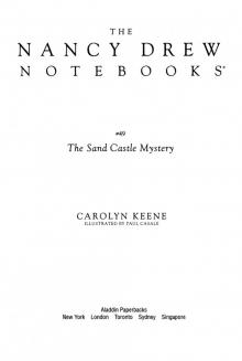      The Sand Castle Mystery