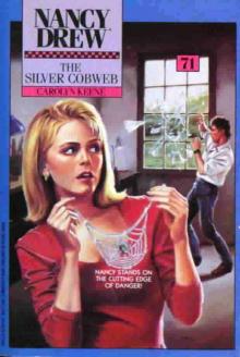     The Silver Cobweb