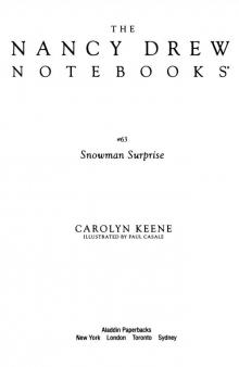      The Snowman Surprise