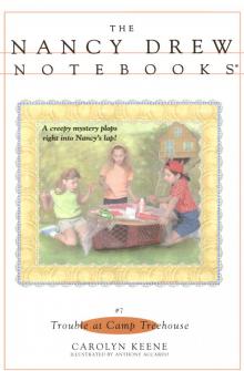      Trouble at Camp Treehouse