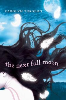      The Next Full Moon