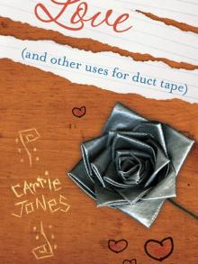      Love (And Other Uses for Duct Tape)