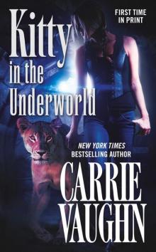      Kitty in the Underworld