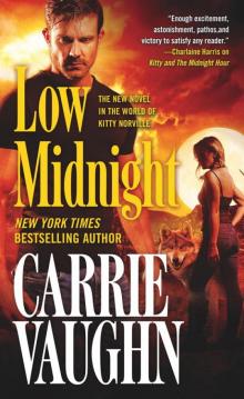      Low Midnight