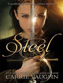      Steel