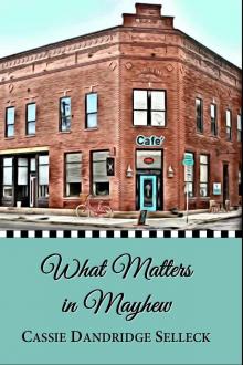      What Matters in Mayhew (The Beanie Bradsher Series Book 1)