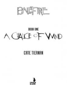      A Chalice of Wind