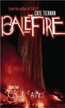     A Circle of Ashes