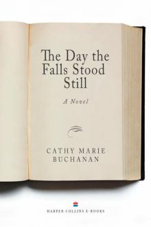     The Day the Falls Stood Still