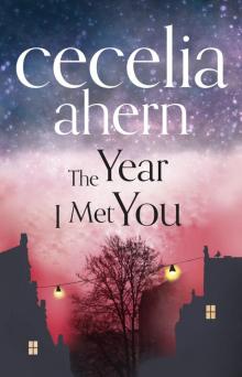      The Year I Met You