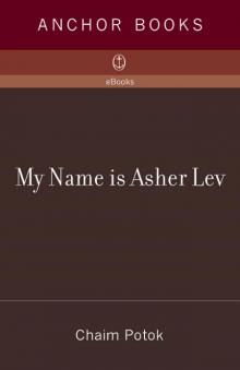      My Name Is Asher Lev