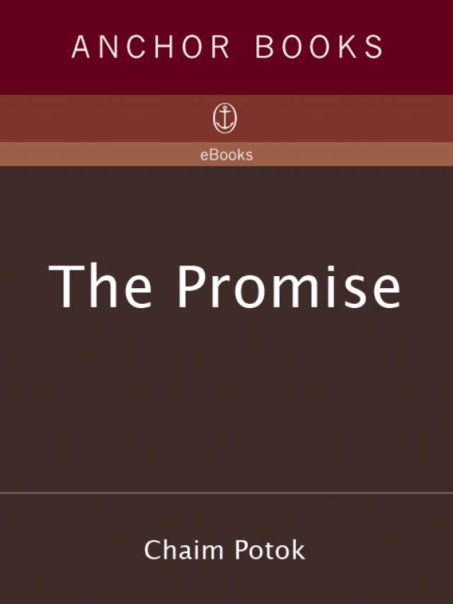 the promise potok novel