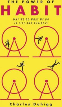      The Power of Habit: Why We Do What We Do in Life and Business