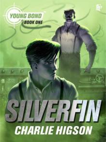      Silver Fin