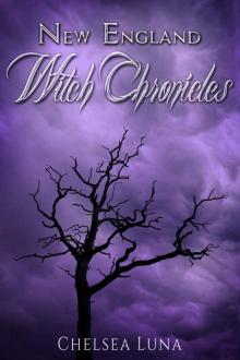      New England Witch Chronicles