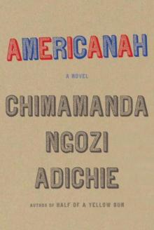      Americanah