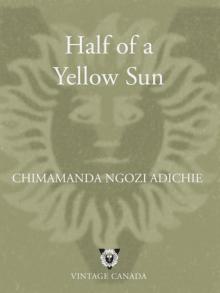      Half of a Yellow Sun