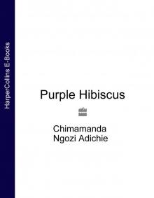      Purple Hibiscus