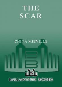      The Scar