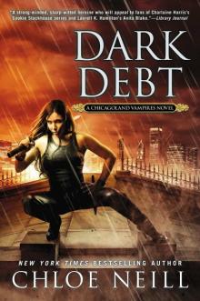      Dark Debt