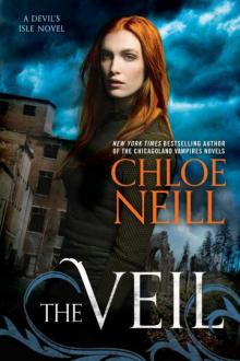      The Veil