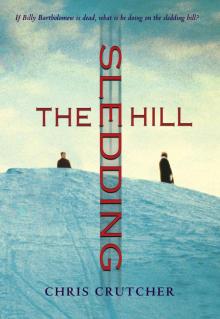      The Sledding Hill