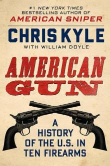      American Gun: A History of the U.S. In Ten Firearms