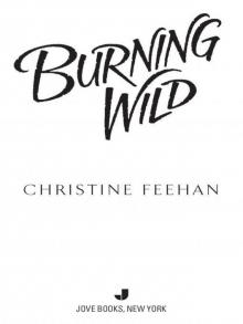      Burning Wild