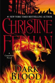      Dark Blood