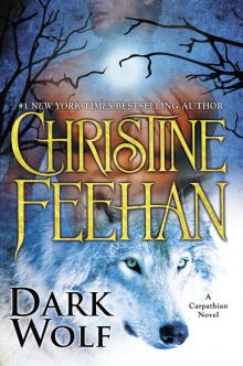      Dark Wolf