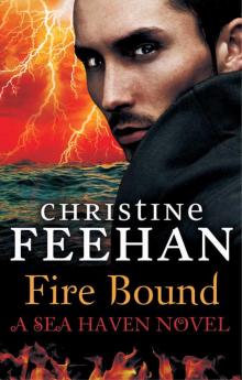      Fire Bound