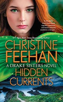      Hidden Currents