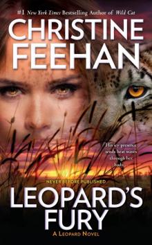      Leopard's Fury